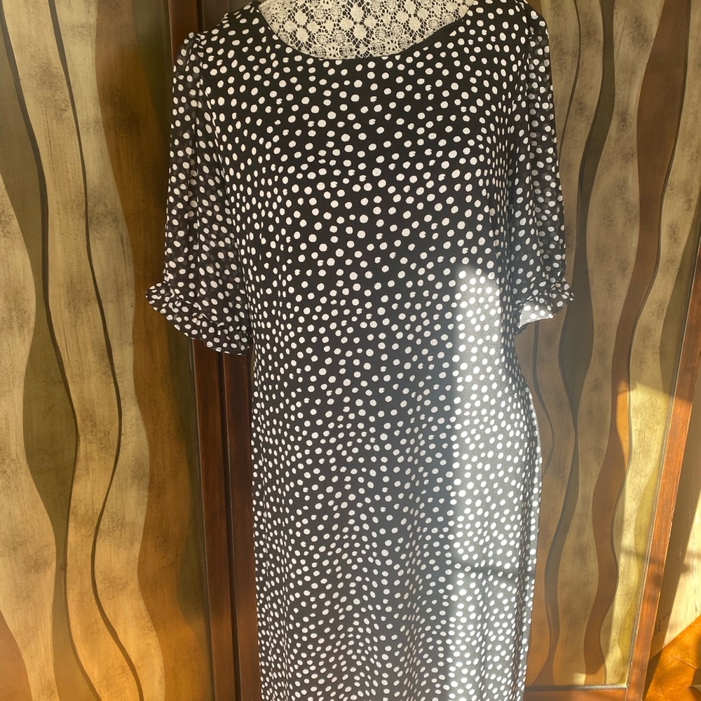 NWT Connected Women’s Black/white  Polka-dot Puff-sleeve Sheath Dress, size 12
